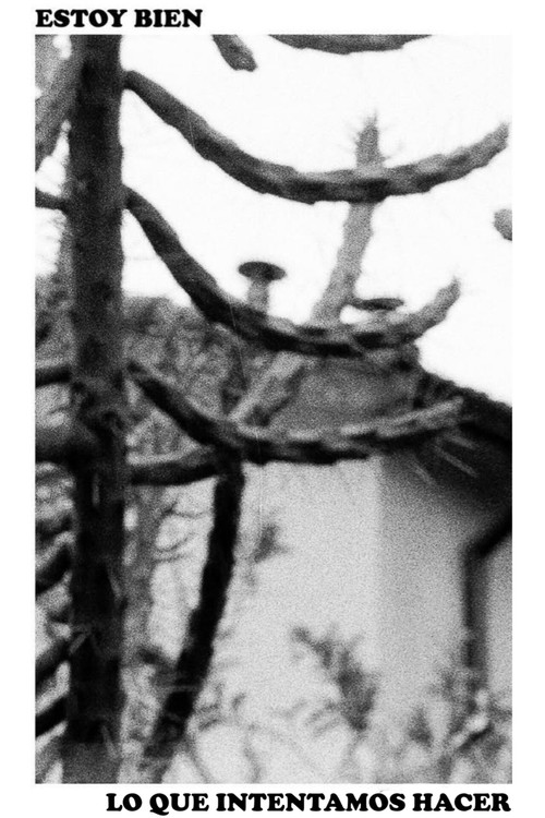 Estoy Bien - Lo Que Intentamos Hacer (Lanzamiento) poster