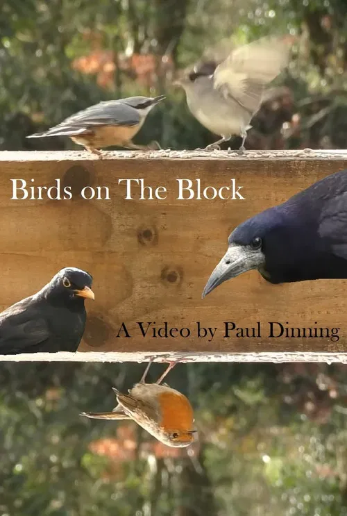 Birds on The Block poster