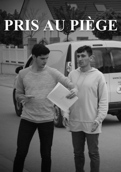 Pris au piège poster