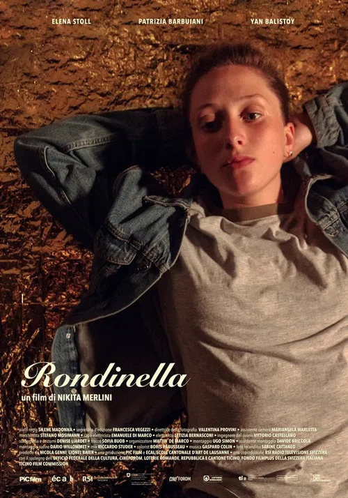 Little Swallow poster