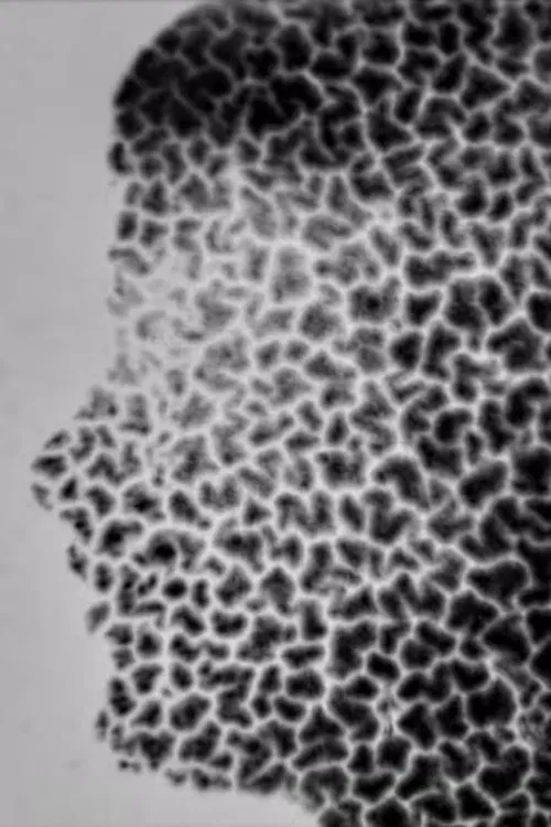 Recomposing Decomposition poster