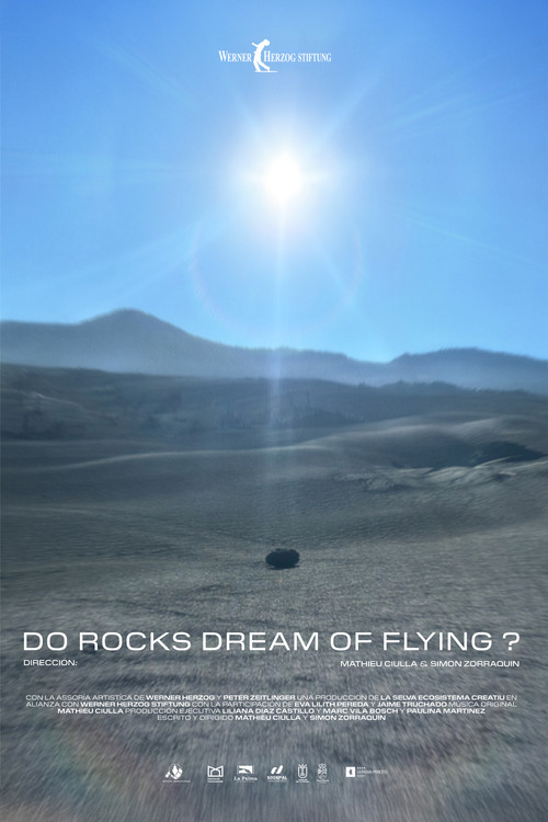Do Rocks Dream of Flying ? poster