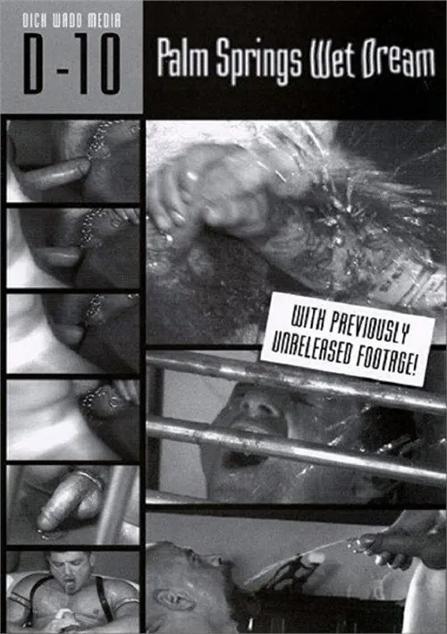 Palm Springs Wet Dream poster