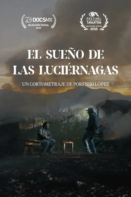 El sueño de las luciérnagas poster