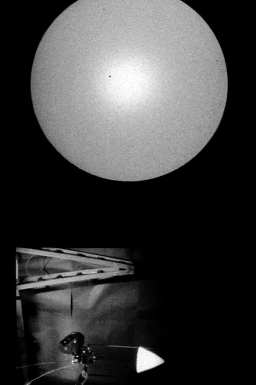 Relative Swingings poster