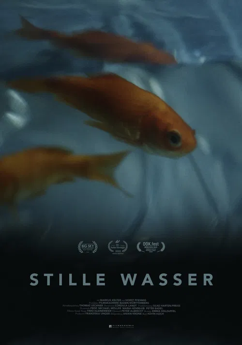 Silent Waters poster