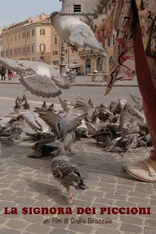 La signora dei piccioni poster
