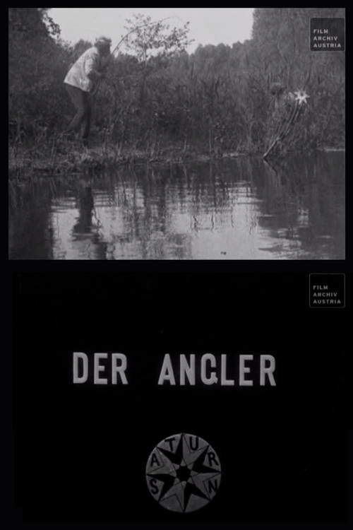 The Angler poster