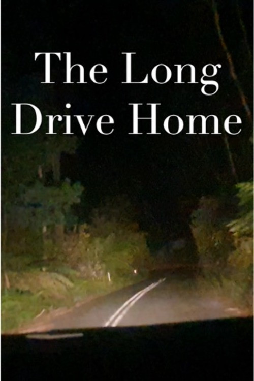 The Long Drive Home poster