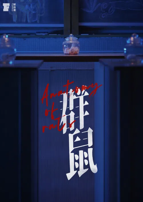 Anatomy of Rats poster