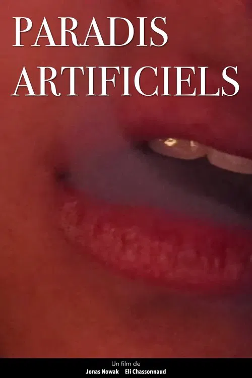 Paradis Artificiels poster
