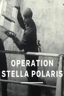 Operation Stella Polaris poster