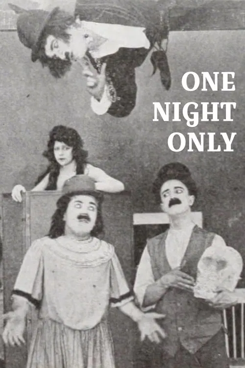 One Night Only poster