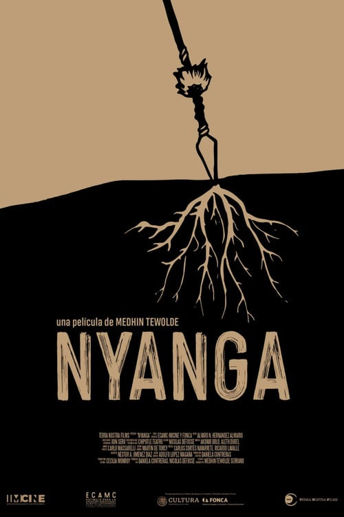 Nyanga poster
