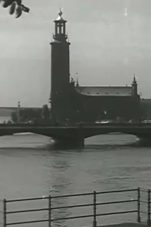 Venice of the North poster