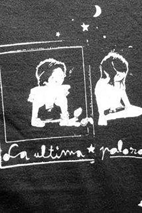 The Last Polaroid poster