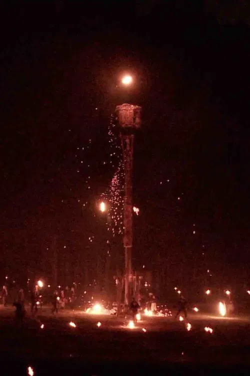 The Thread of Red Cocoons poster