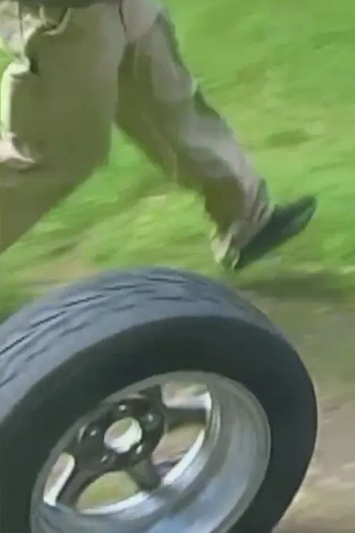 THE CAR BECOMES TREES poster