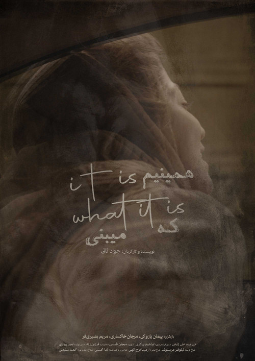 it is what it is poster