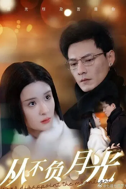 从不负月光 poster