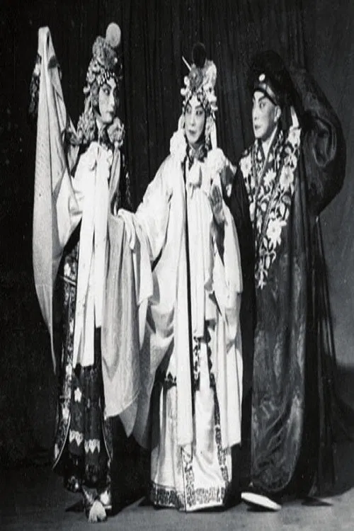 白蛇传-断桥 poster