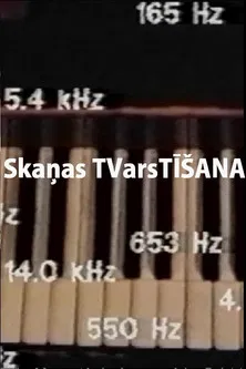 Skaņas TVarsTĪŠANA poster