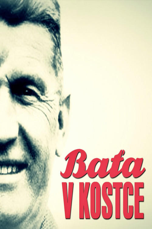Baťa v kostce poster