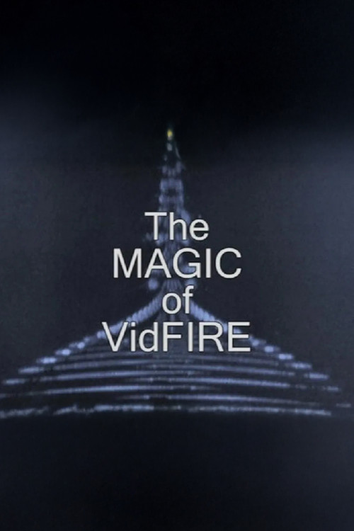The Magic of VidFIRE poster
