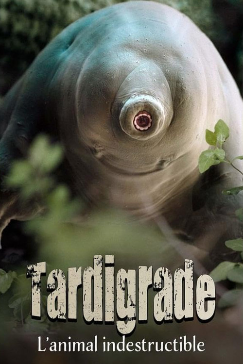 Tardigrade, l'animal indestructible poster