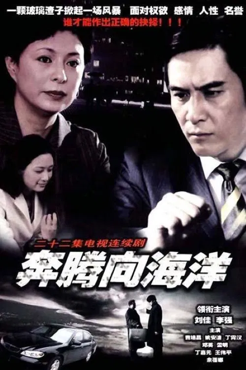 奔腾向海洋 poster