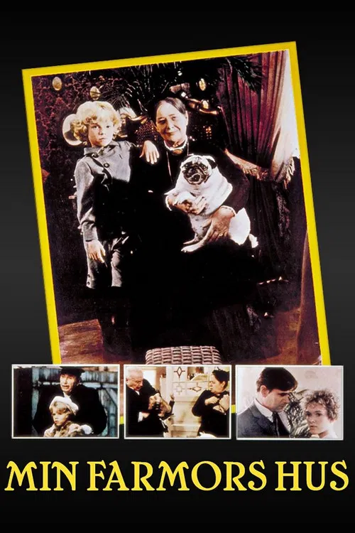 My Granny's House poster