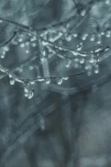 Super 8 Diary - 1989 poster