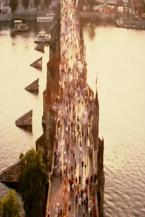 Arquitectura 3: Puente poster