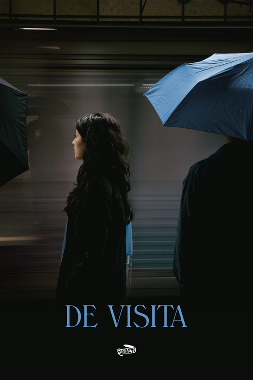 DE VISITA poster