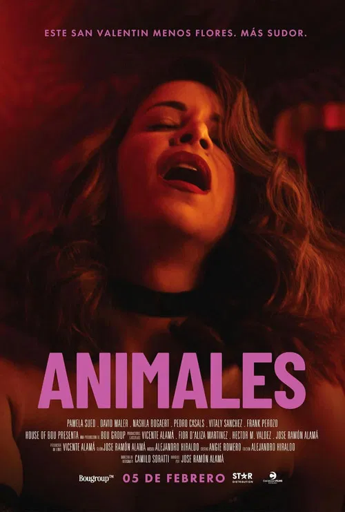 Animals poster