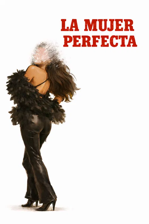 The Perfect Woman poster