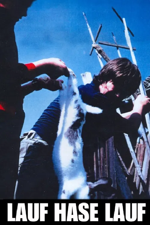 Lauf, Hase, lauf poster