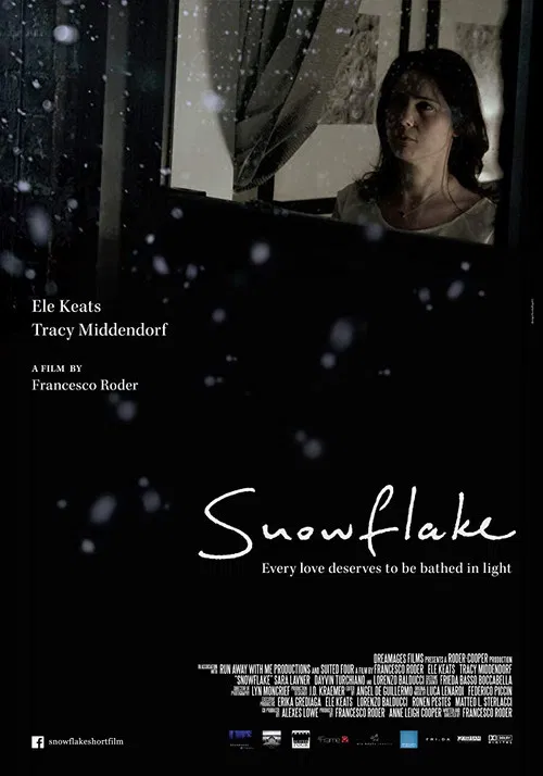 Snowflake poster