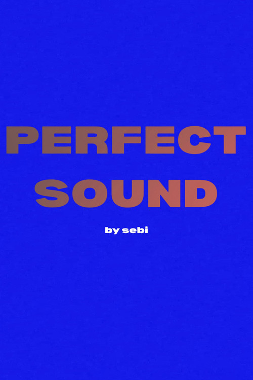 Perfect Sound poster