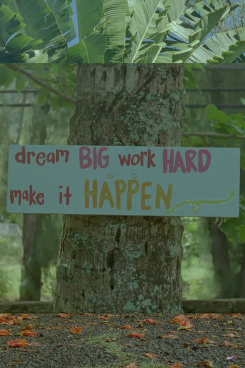 Dream Big, Work Hard, Make It Happen poster