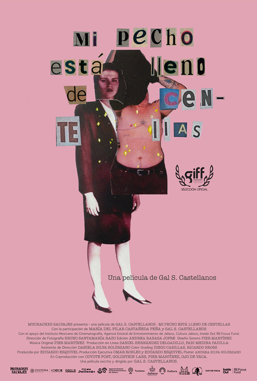 My Chest Is Full of Sparks poster