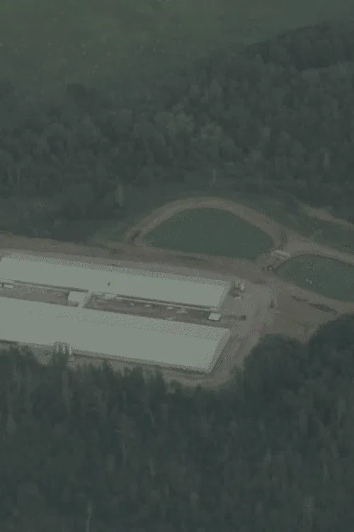 Cargill: Feast or Famine? poster