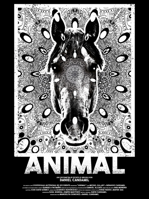 Animal poster
