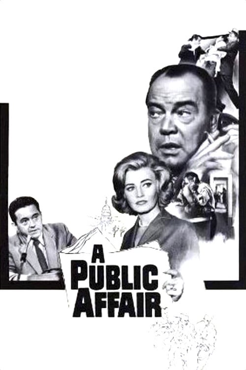 A Public Affair poster
