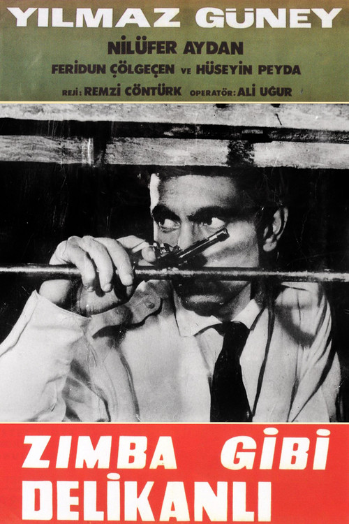 Zımba Gibi Delikanlı poster