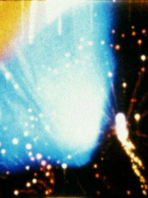 Looking for Mushrooms poster