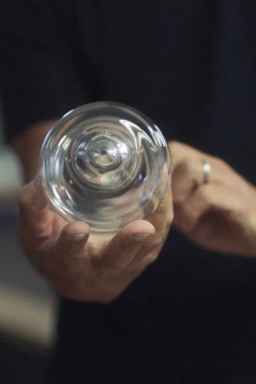 Slip of the Line poster