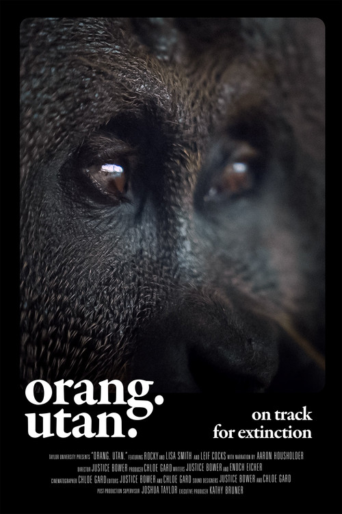 Orang. Utan. poster