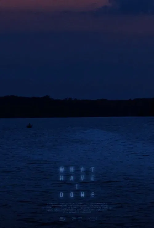 What Have I Done poster