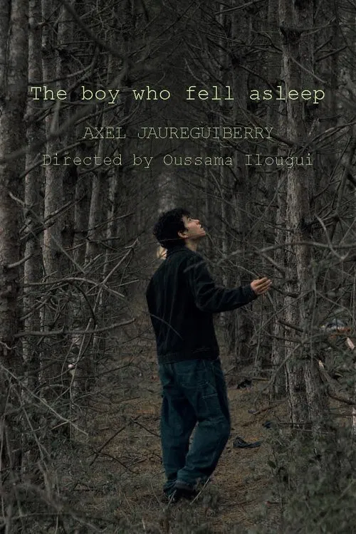 The boy who fell asleep poster